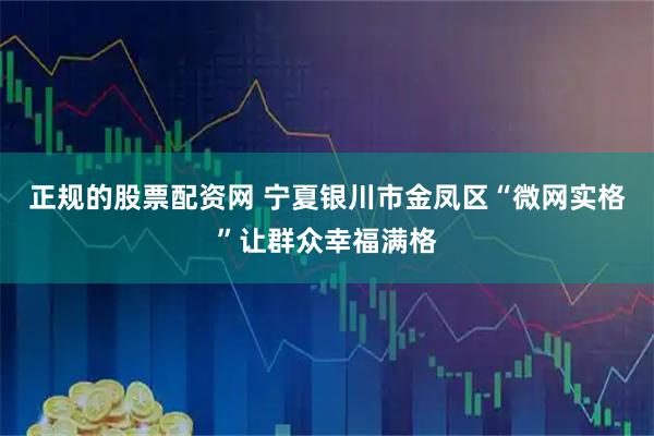 正规的股票配资网 宁夏银川市金凤区“微网实格”让群众幸福满格
