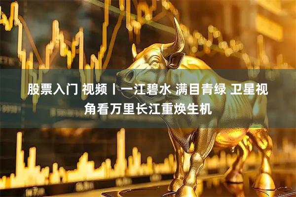 股票入门 视频丨一江碧水 满目青绿 卫星视角看万里长江重焕生机